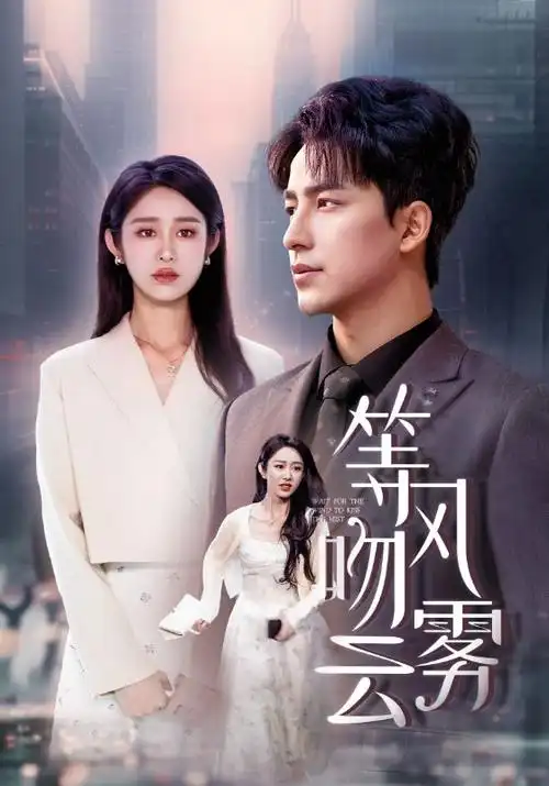 《与凤行》电视剧海报